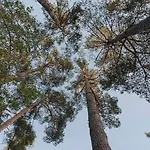 Willa 252 M² Luxury 4 Bedroom House In The Pine-forest *
