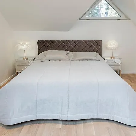 252 M² Luxury 4 Bedroom House In The Pine-forest Vilnius